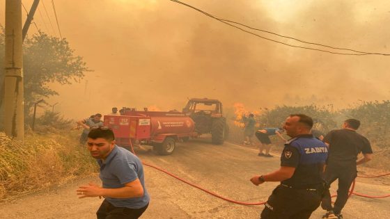 وزير العدل يعلن القبض على مفتعل حريق غابات في إزمير
